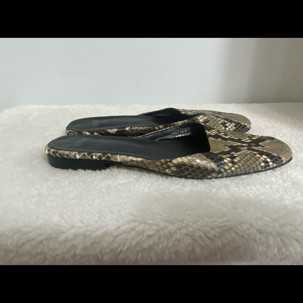 Coach Flats. - Picture 4 of 6